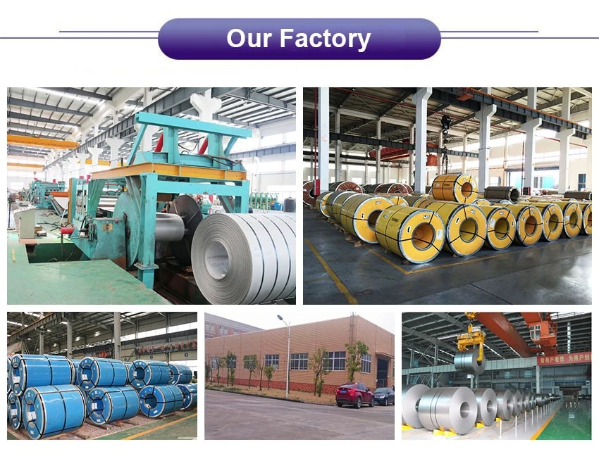 Our Factory 1